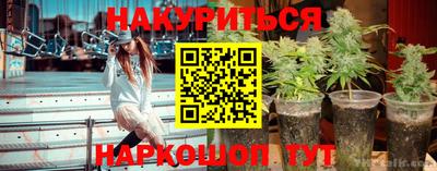 мяу мяу мука Будённовск