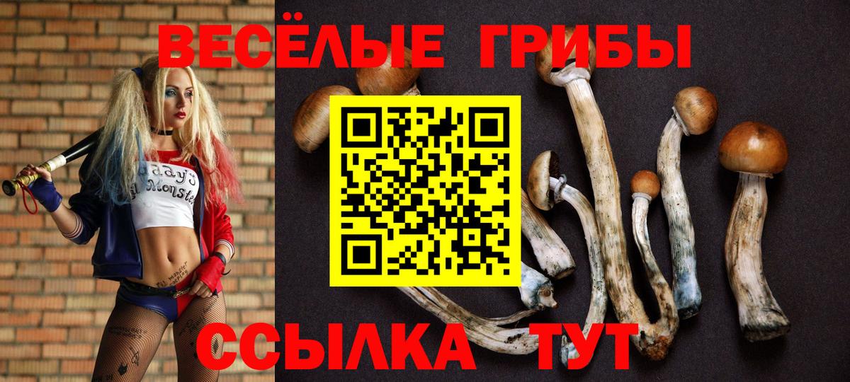 Галлюциногенные грибы Magic Shrooms Лесной