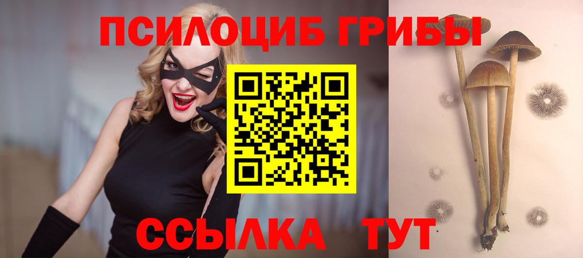Галлюциногенные грибы Cubensis  Псилоцибиновые грибы мухоморы  Вход с VPN  как найти закладки  Лесной 